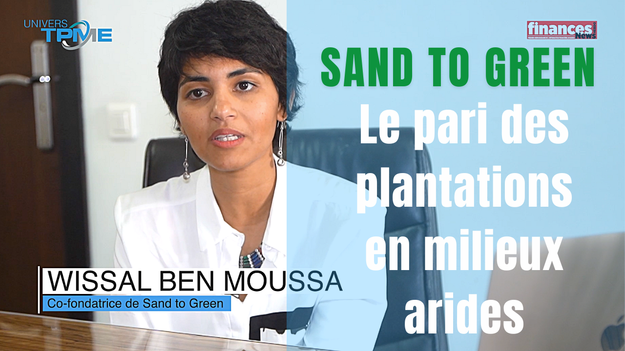 Sand to Green: le pari des plantations en milieux arides